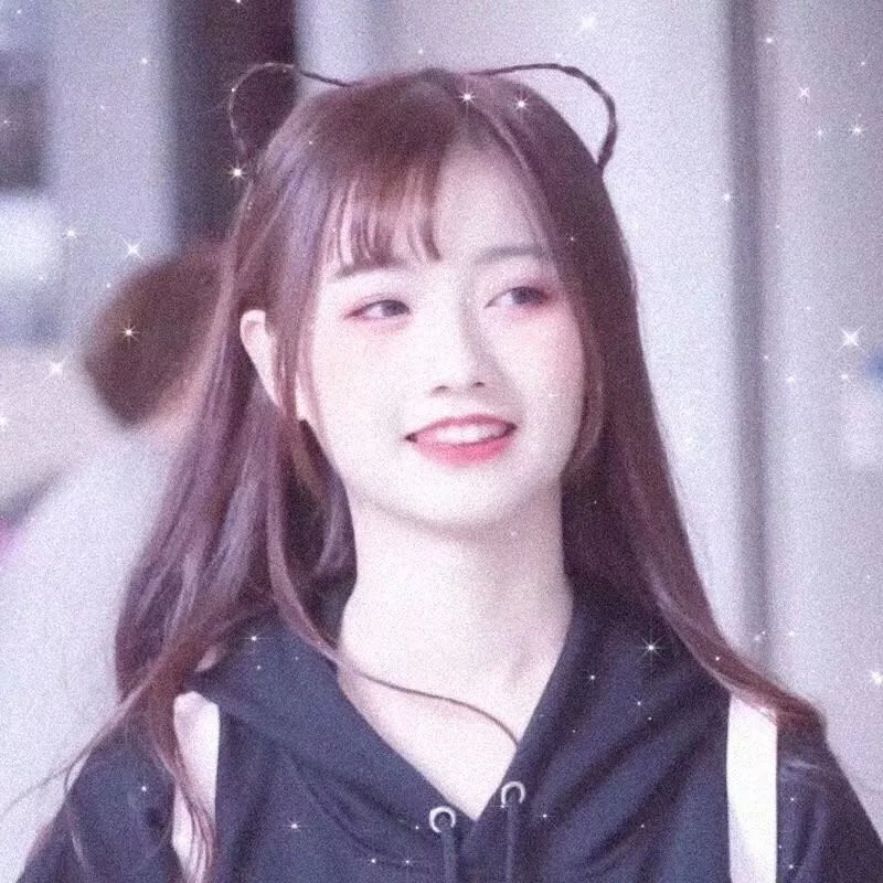 十二猴子